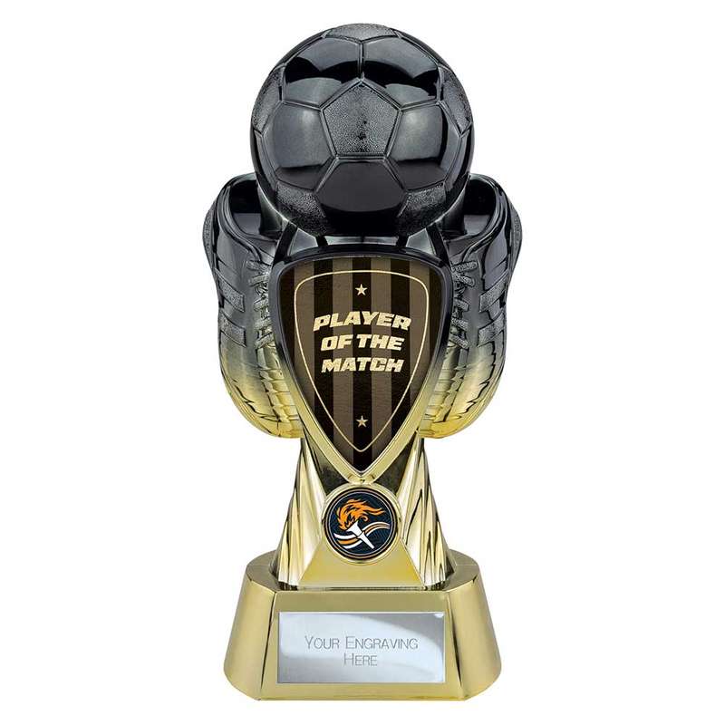 Tournament Heavyweight Player of Match
