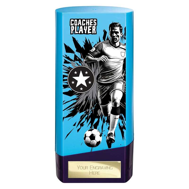 Prime Heavyweight Coaches Player