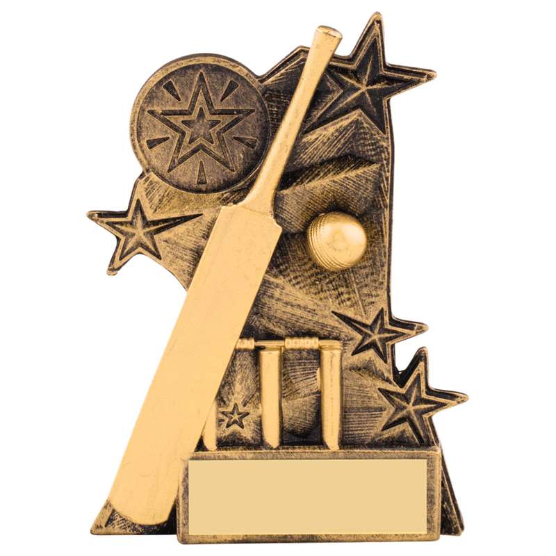 ASTRA CRICKET AWARD