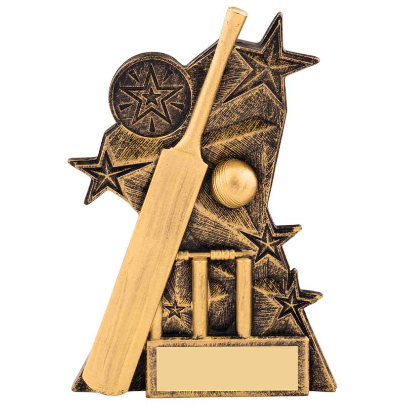 ASTRA CRICKET AWARD