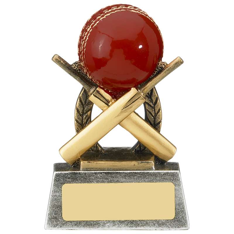 ESCAPADE CRICKET AWARD