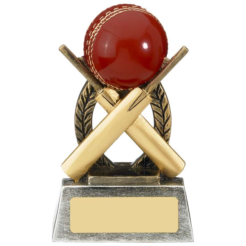 ESCAPADE CRICKET AWARD