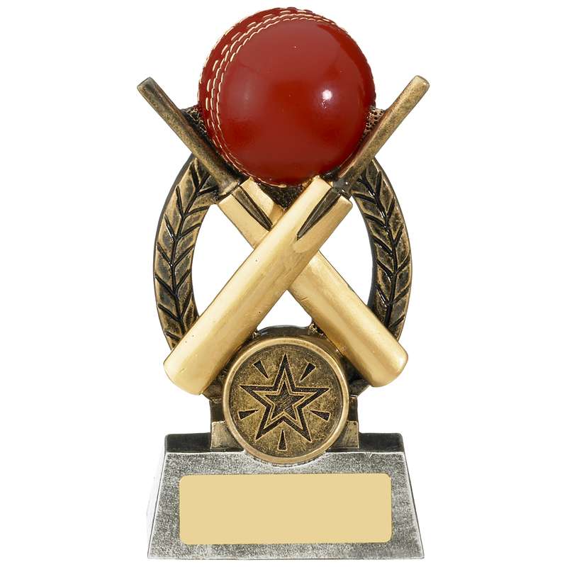 ESCAPADE CRICKET AWARD