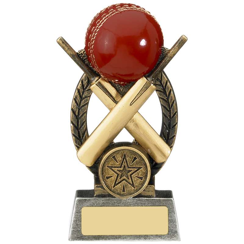 ESCAPADE CRICKET AWARD
