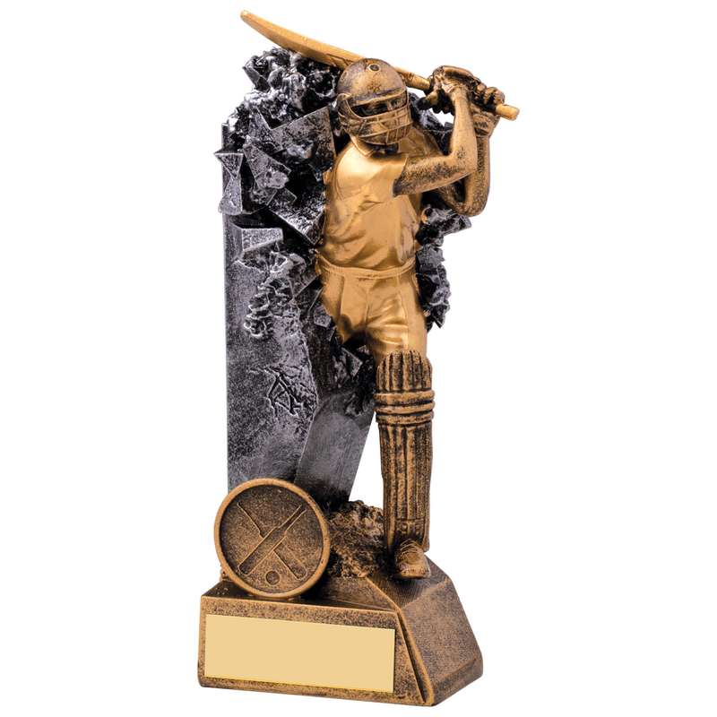 BREAKOUT CRICKET BATSMAN