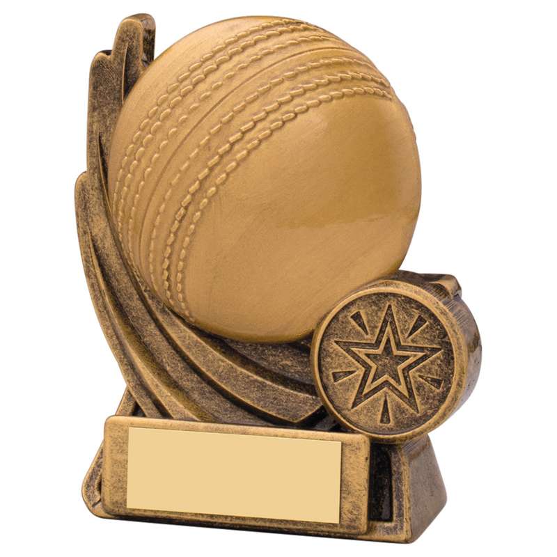 MOTION CRICKET BALL