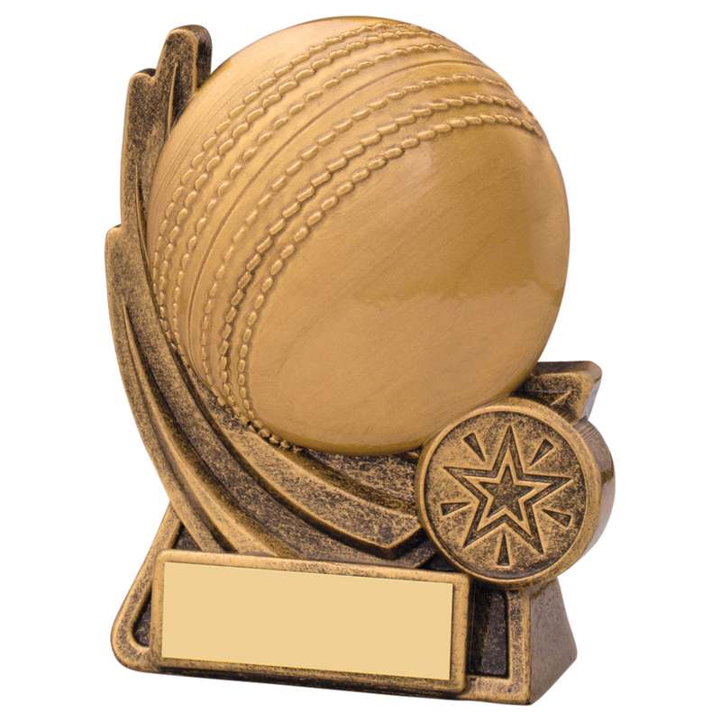 MOTION CRICKET BALL