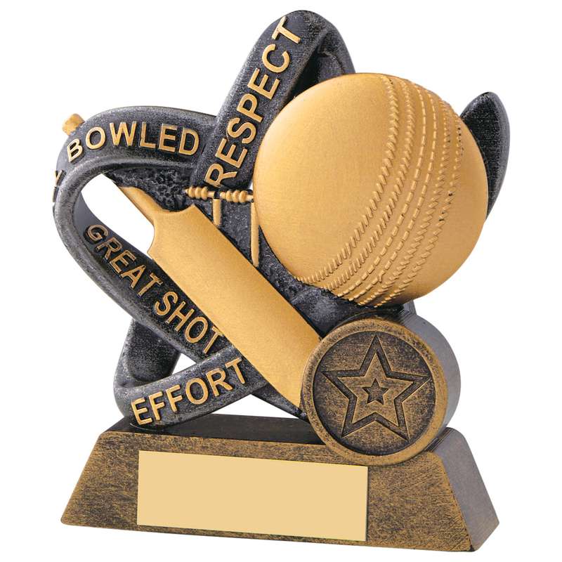 CRICKET INFINITY AWARD