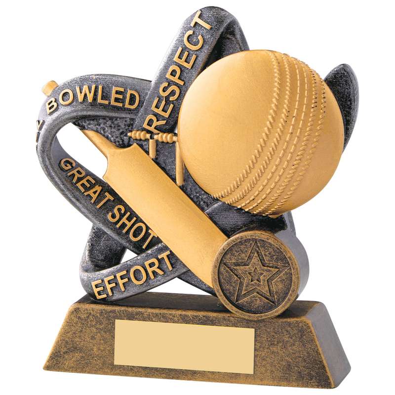 CRICKET INFINITY AWARD