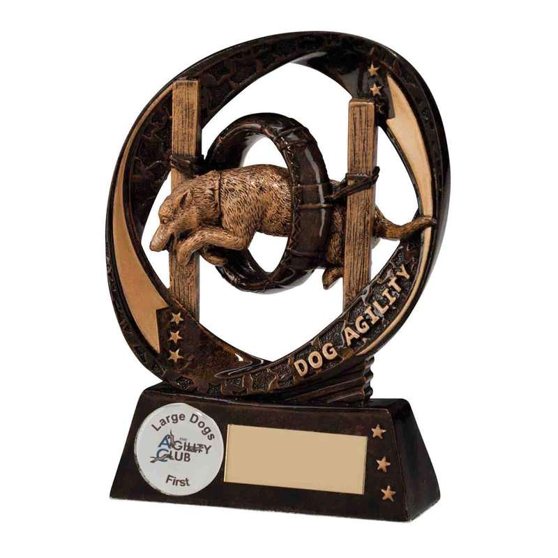 Typhoon Dog Agility Award