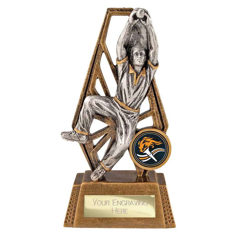 Immense Cricket Fielder Award
