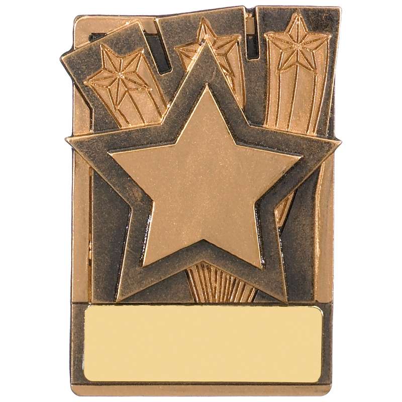 FRIDGE MAGNET STAR AWARD
