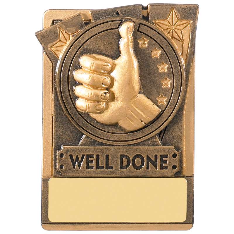 FRIDGE MAGNET WELL DONE AWARD