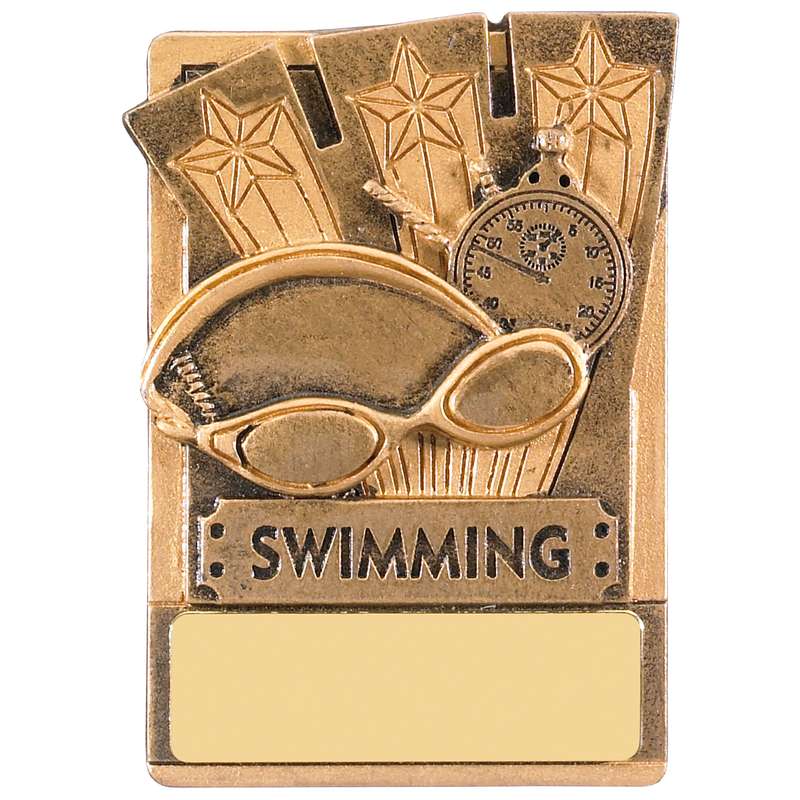 FRIDGE MAGNET SWIMMING AWARD