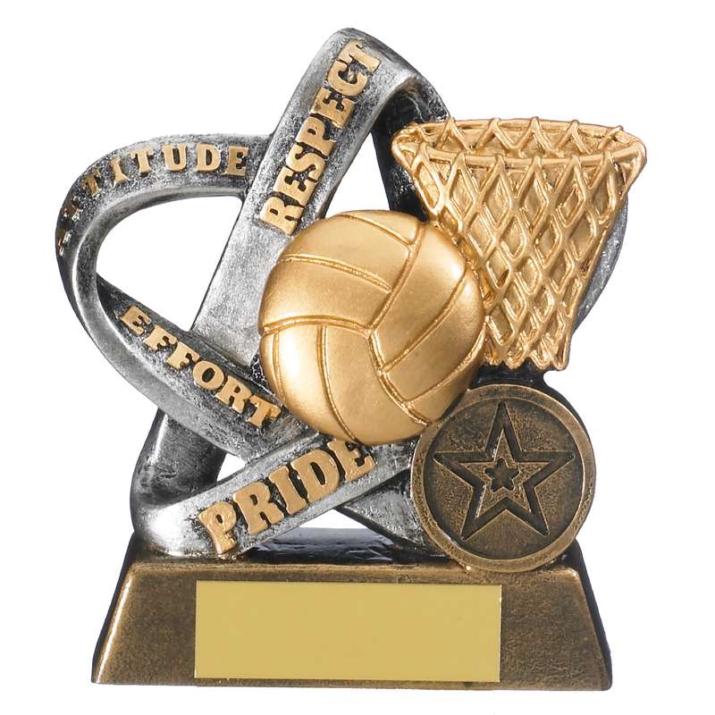 INFINITY NETBALL AWARD