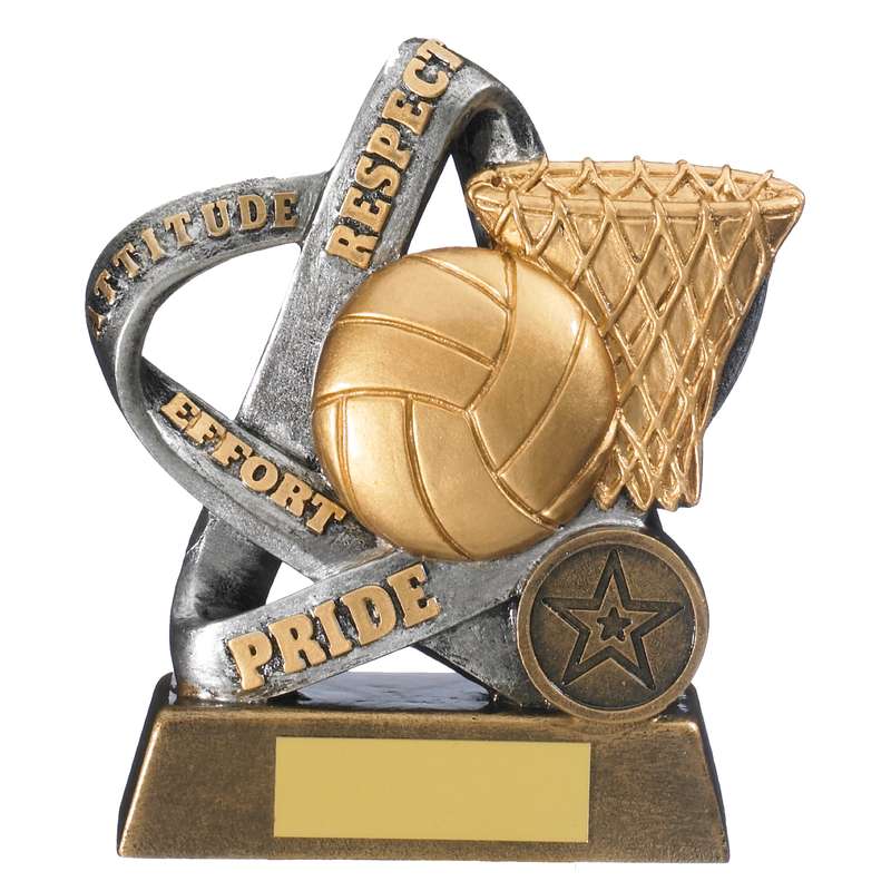 INFINITY NETBALL AWARD