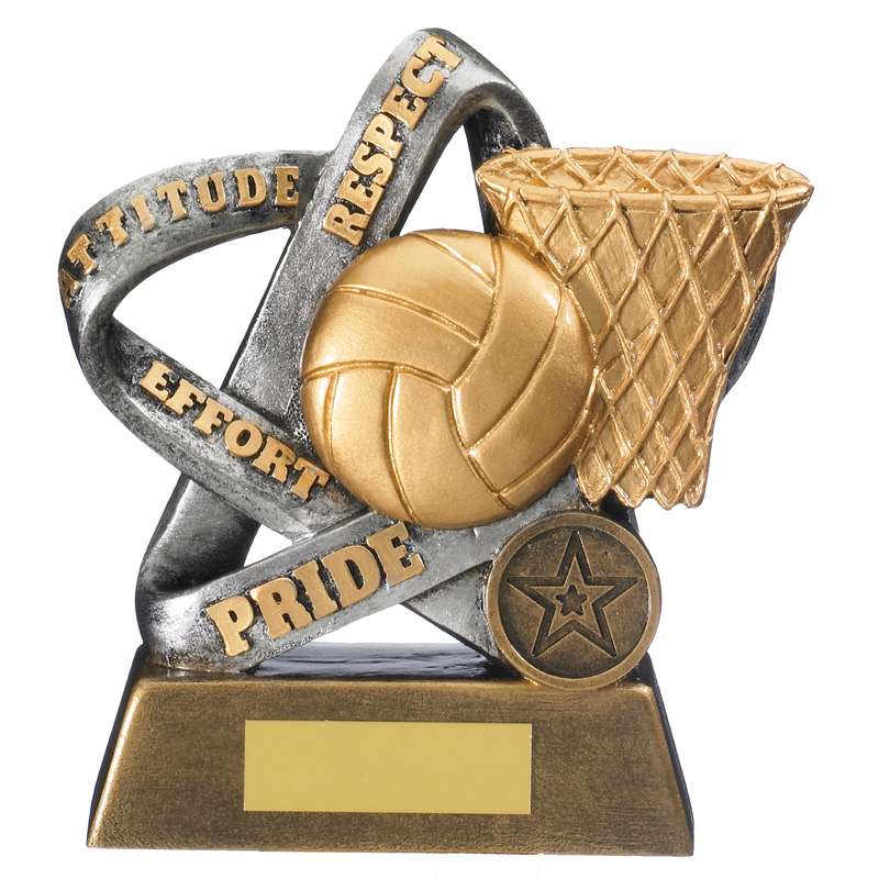 INFINITY NETBALL AWARD