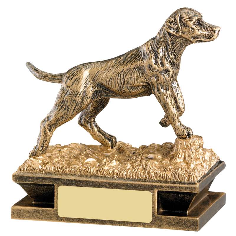 GUNDOG AWARD