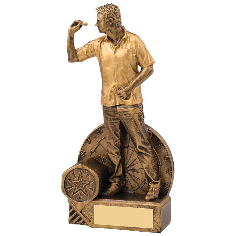 DARTS MALE AWARD