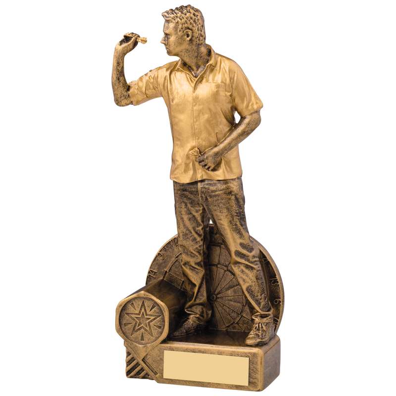 DARTS MALE AWARD