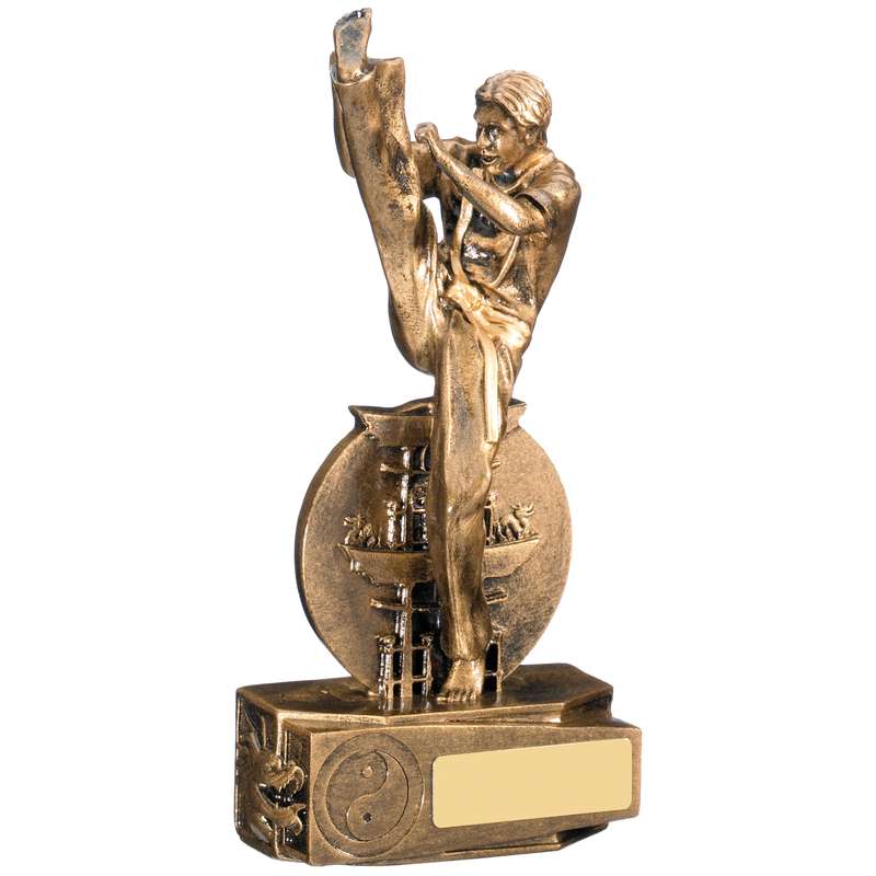 MARTIAL ARTS AWARD