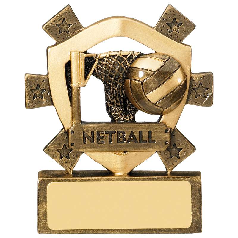 NETBALL MINI SHIELD