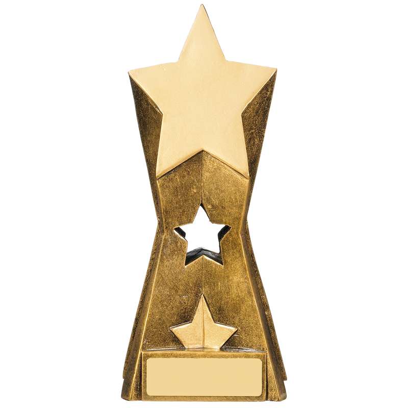 STAR AWARD