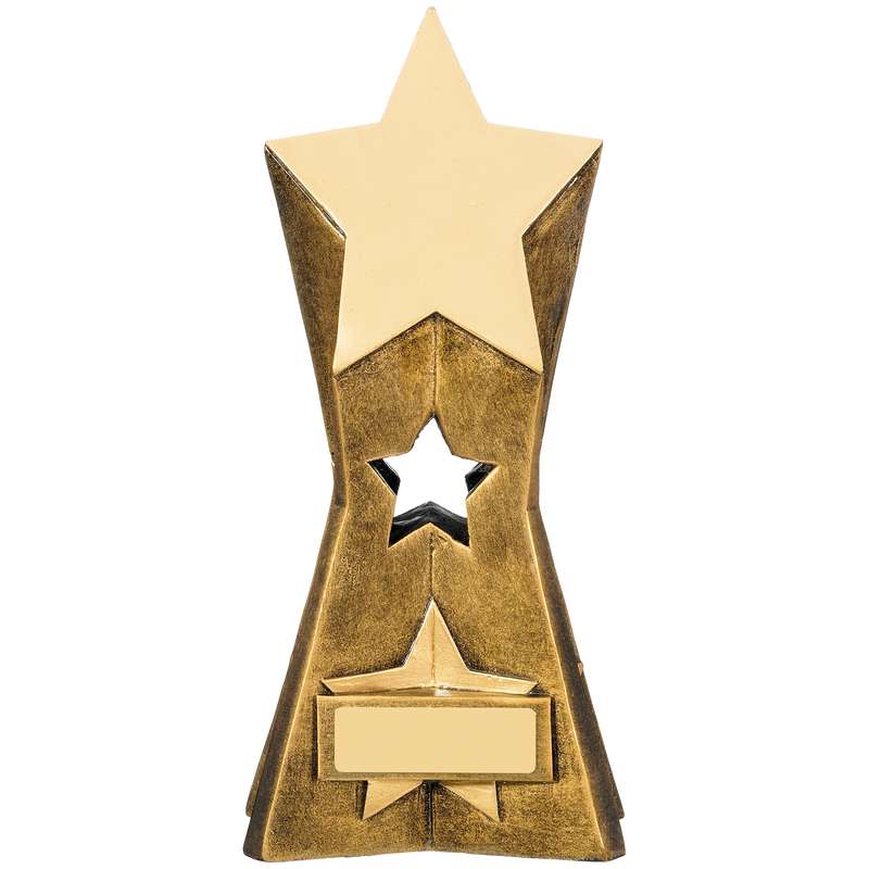 STAR AWARD