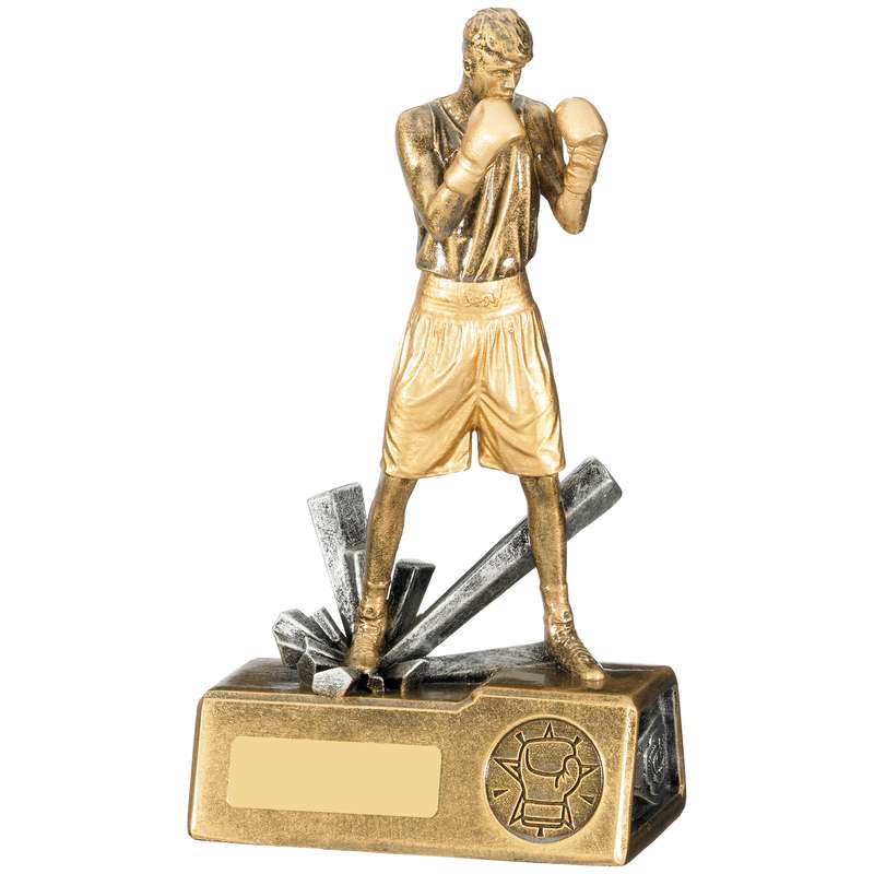 BOXER MALE AWARD