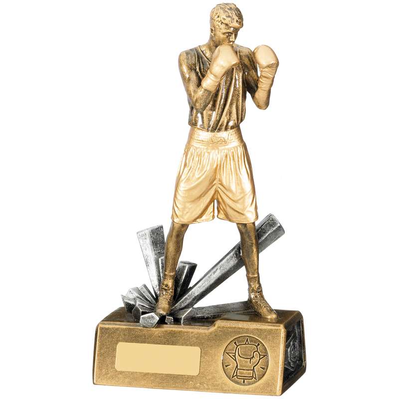 BOXER MALE AWARD