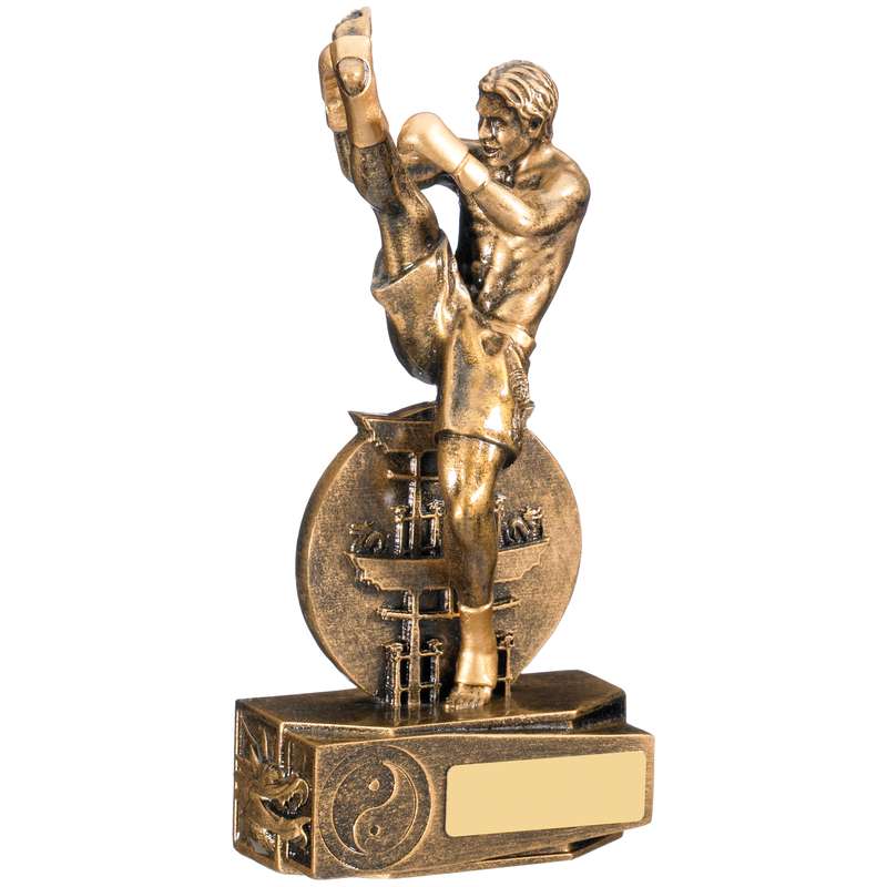 MALE KICKBOXING AWARD