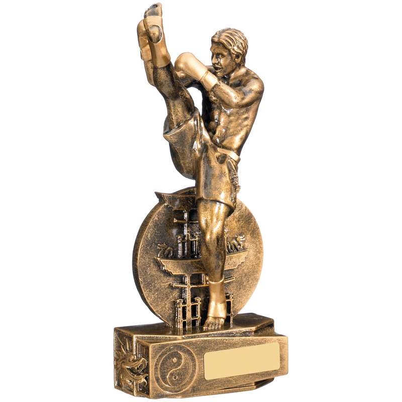 MALE KICKBOXING AWARD