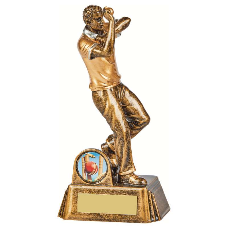 Resin Cricket Male Bowler Award – Ant Gold