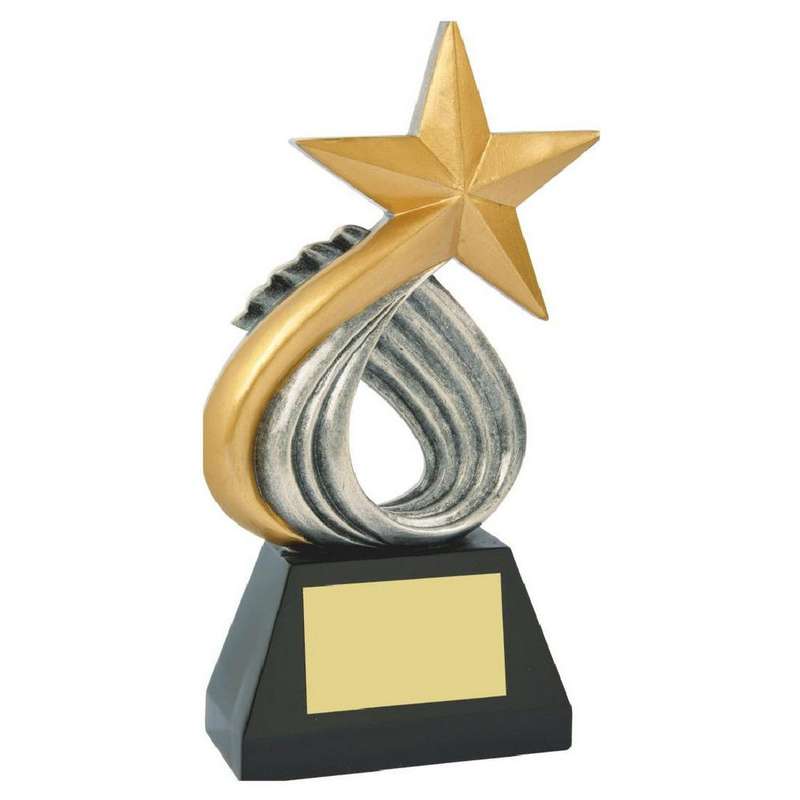 Gold Star Resin Award – Silver/Gold