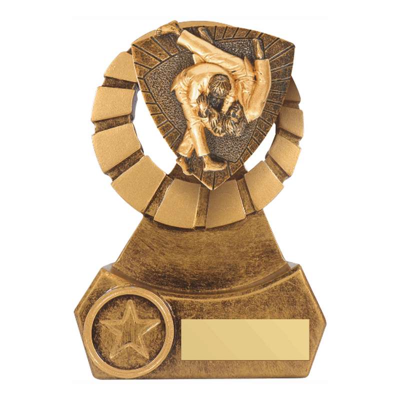 Antique Gold Resin Judo Award – Ant Gold