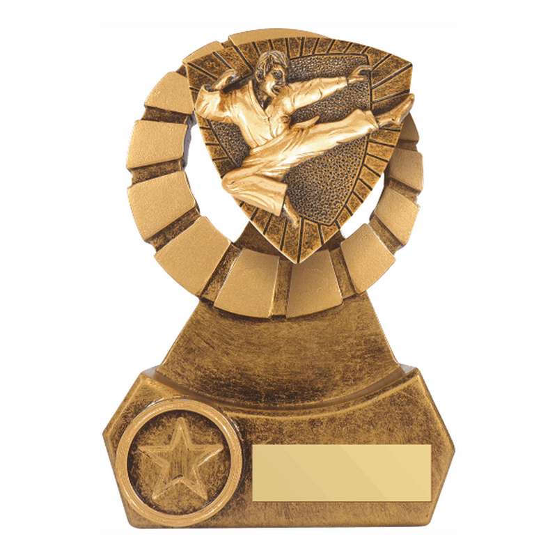 Antique Gold Resin Karate Award – Ant Gold