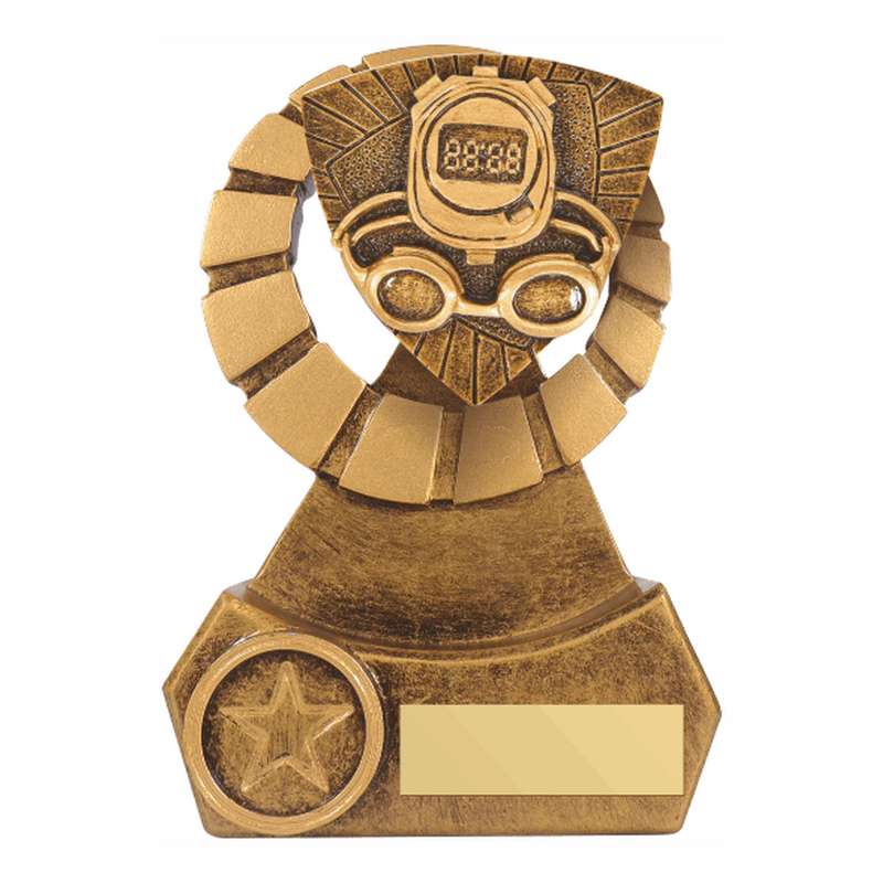 Antique Gold Resin Swimming Award – Ant Gold