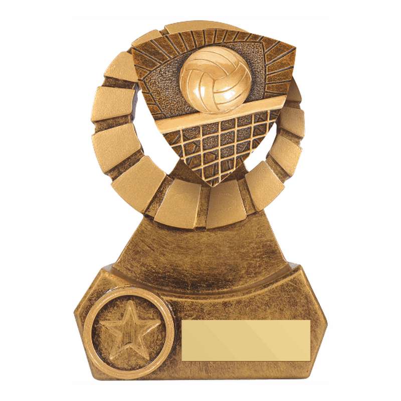 Antique Gold Resin Volleyball Award – Ant Gold
