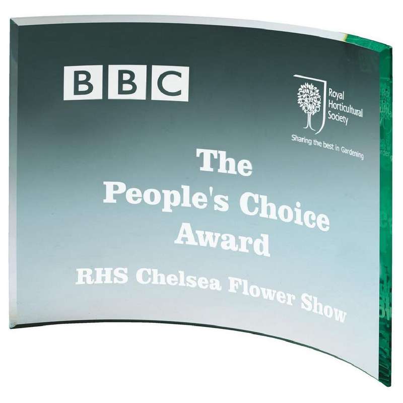 Jade Curve Glass Award – Jade