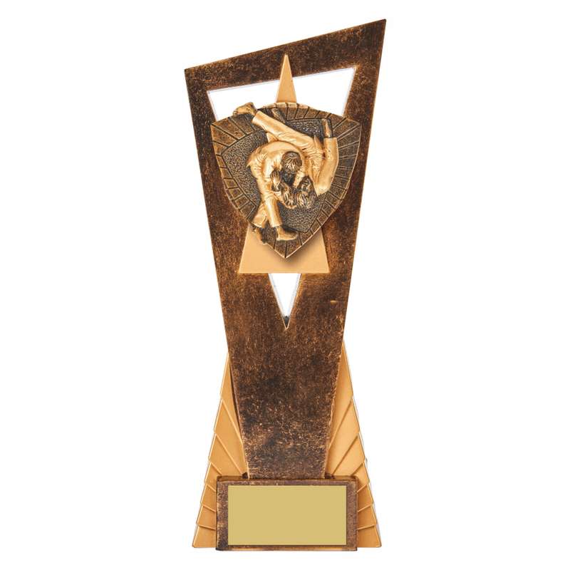 Antique Gold Edge Judo Award – Ant Gold