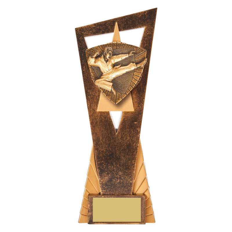 Antique Gold Edge Karate Award – Ant Gold