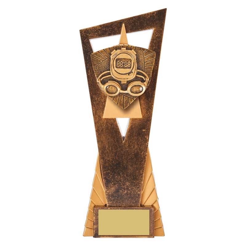 Antique Gold Edge Swimming Award – Ant Gold