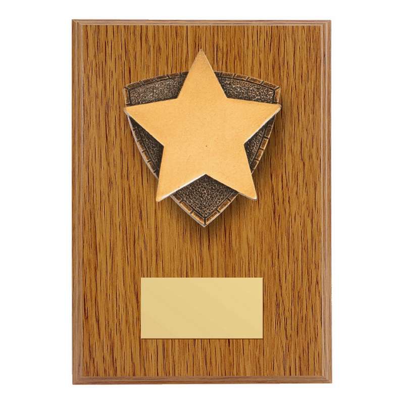 Wood Plaque with Resin Star Trim – Light Oak