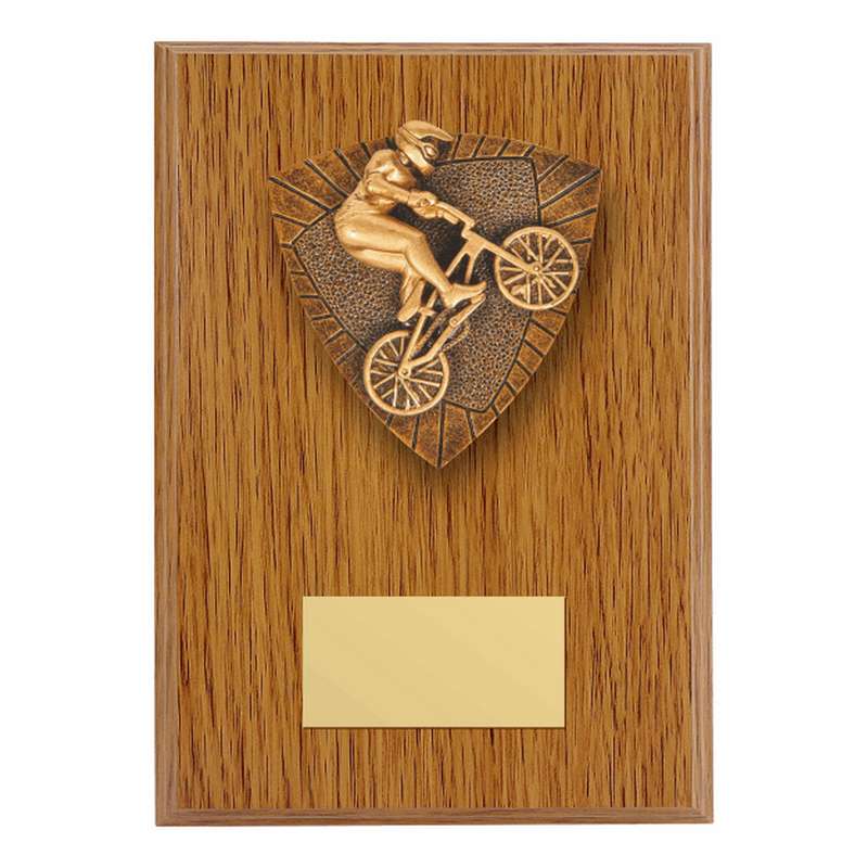 Wood Plaque with Resin BMX Trim – Light Oak