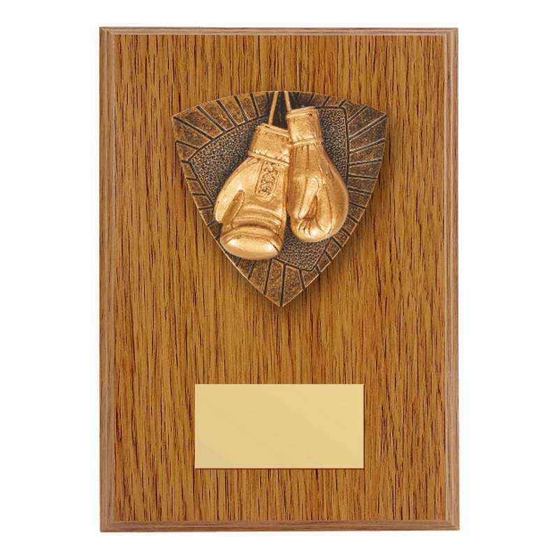 Wood Plaque with Resin Boxing Trim – Light Oak