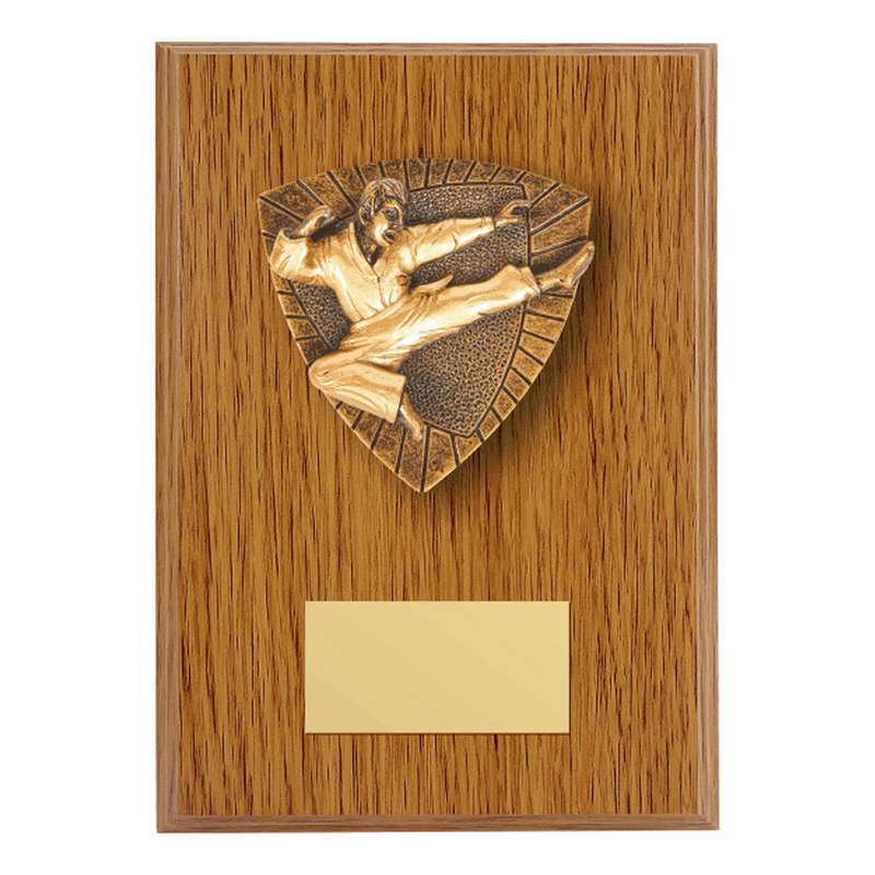 Wood Plaque with Resin Karate Trim – Light Oak