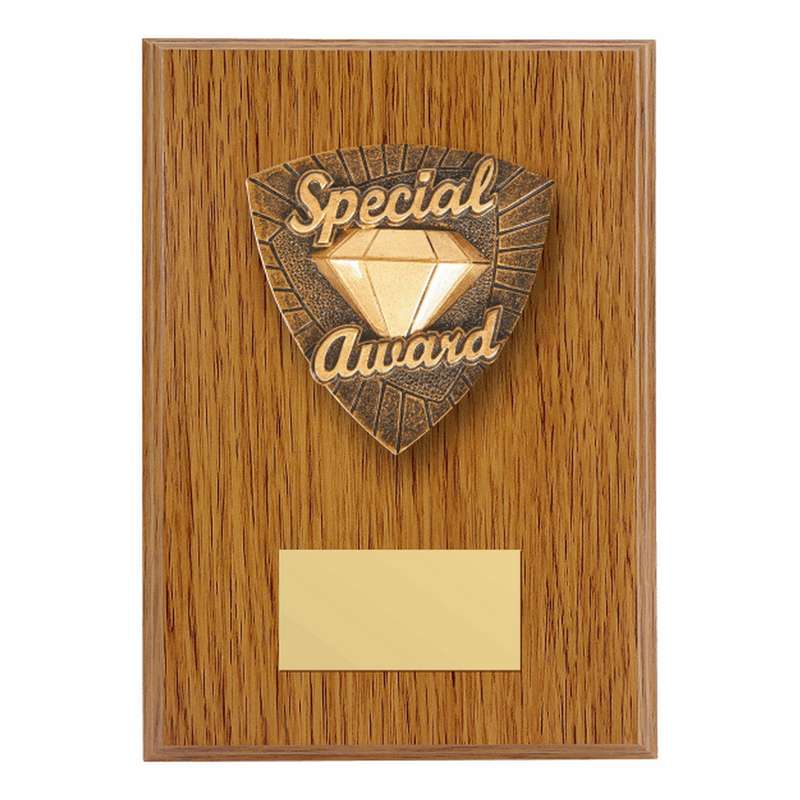 Wood Plaque with Resin Special Award Trim – Light Oak