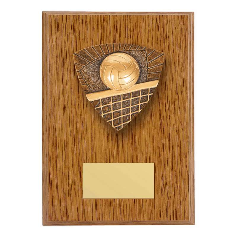 Wood Plaque with Resin Volleyball Trim – Light Oak