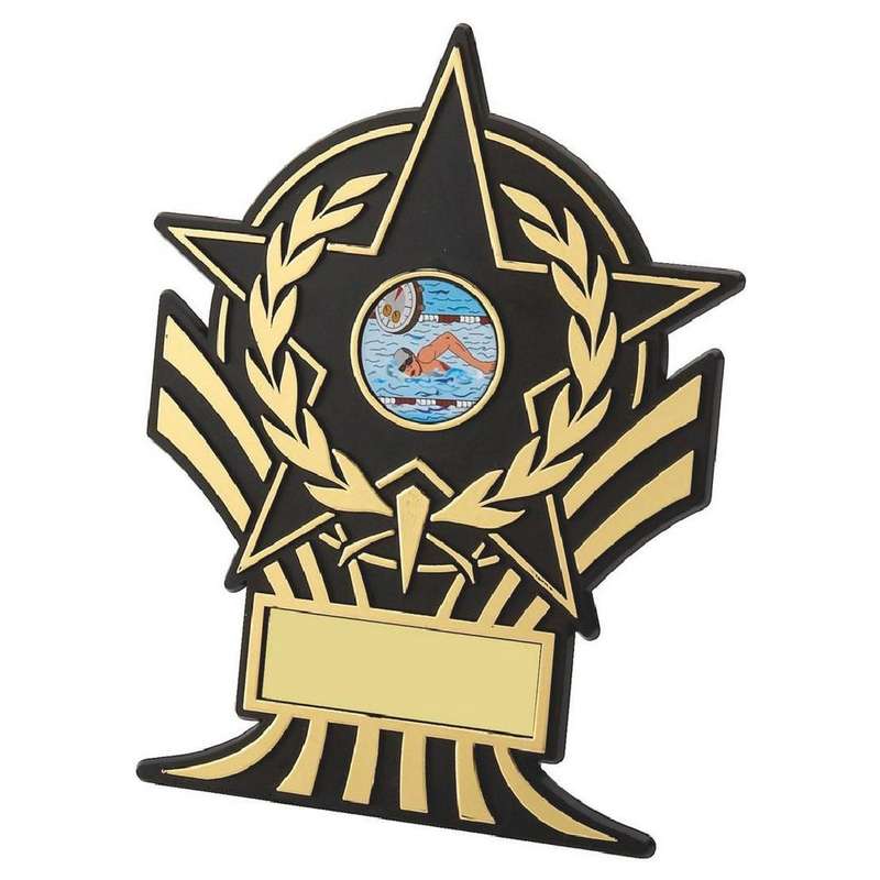 Black Plastic Star Award – Gold/Black