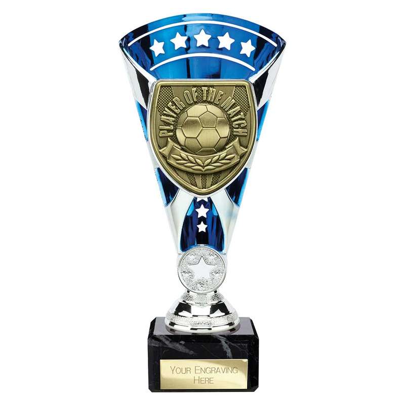 Cobra Star Cup Player of Match